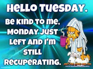 Essentially, every day should be celebrated and that includes tuesday. 50+ Amazing Tuesday Morning Funny: Quotes, Images & Memes