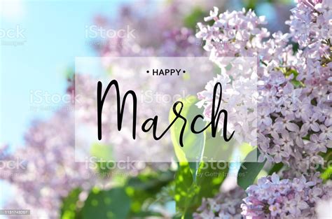 Inscription Happy March Lilac Flower Spring Background Stock Photo ...