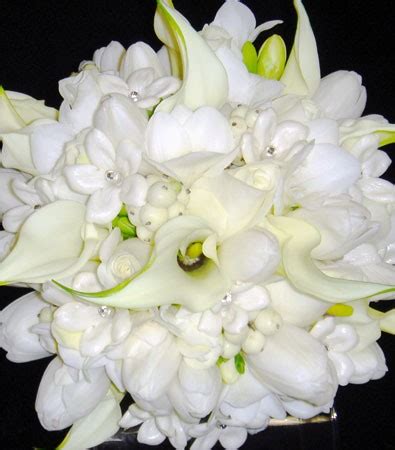 Brigitte's flowers galore ei tegutse valdkondades lilleseadjad. FLOWERS GALORE | (954) 615-0600 | Fort Lauderdale, Florida