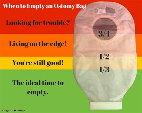 Daily Health How To Empty The Ostomy Pouch