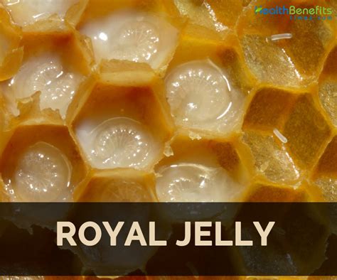 Royal Jelly Facts Health Benefits And Nutritional Value