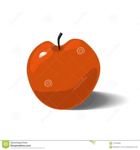 Red Apple Isolated On White Background Stock Vector Illustration Of