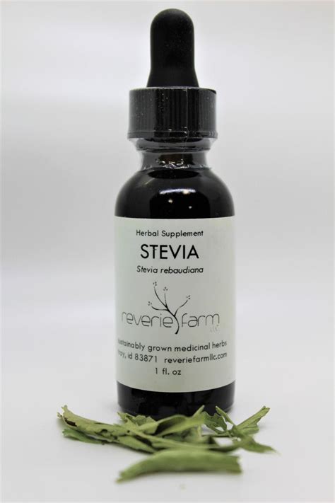 Stevia Drops Stevia Rebaudiana Extract Tincture Organic Etsy