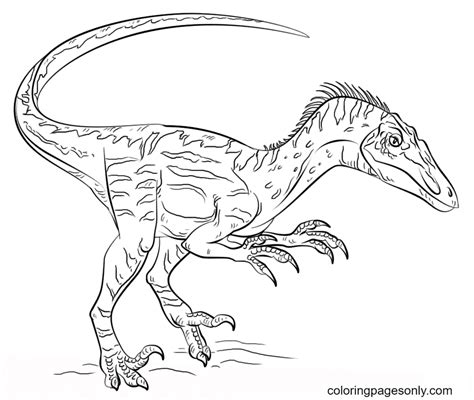 Coloring Pages Velociraptor Blue Jurassic Coloring Pages