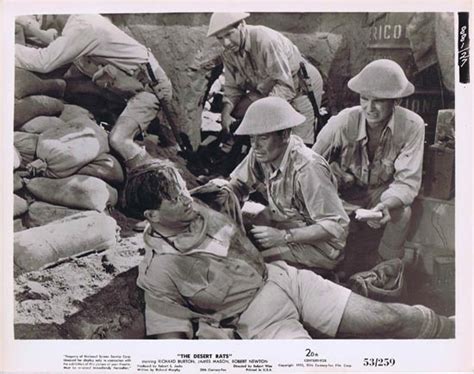 The Desert Rats 1953 Movie Still Photo 11 Charles Tingwell