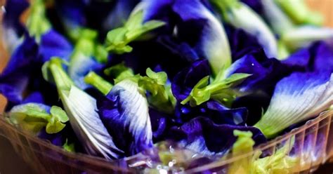 Nama lain bagi kacang telang ialah butterfly pea vine, blue pea, anchan (thailand), pukinggan (filipina) dan dau biec (vietnam). 10 Khasiat Bunga Telang untuk Kesehatan - Mahkota Herbal