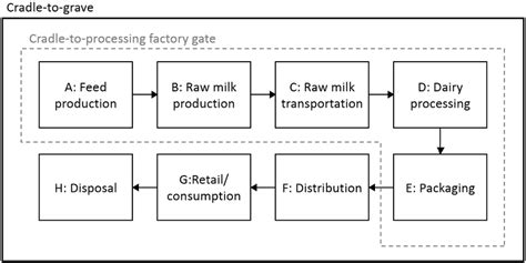 Life Cycle Of A Cow When Producing Milk
