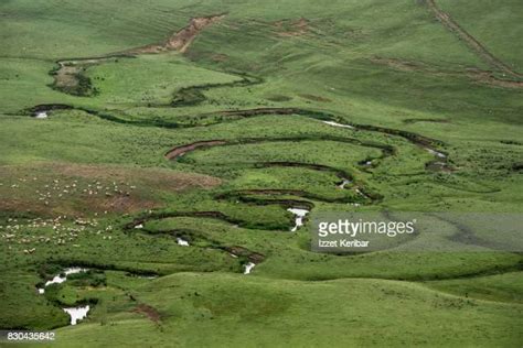 Meander River Turkey Photos And Premium High Res Pictures Getty Images