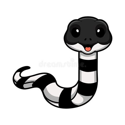 Cute Banded Krait Snake Cartoon Stock Vector Illustration Of