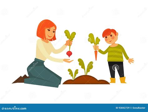 Mother And Small Son Pulling Carrot And Beet From Ground Stock Vector