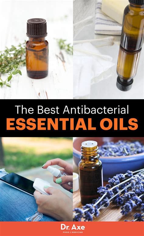 The Safest Most Effective Antibacterial Essential Oils Antibacterial