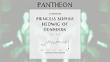 Princess Sophia Hedwig of Denmark Biography - Danish princess | Pantheon