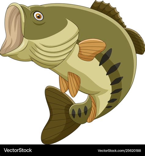 Cartoon Bass Fish Isolated On White Background Vector Image