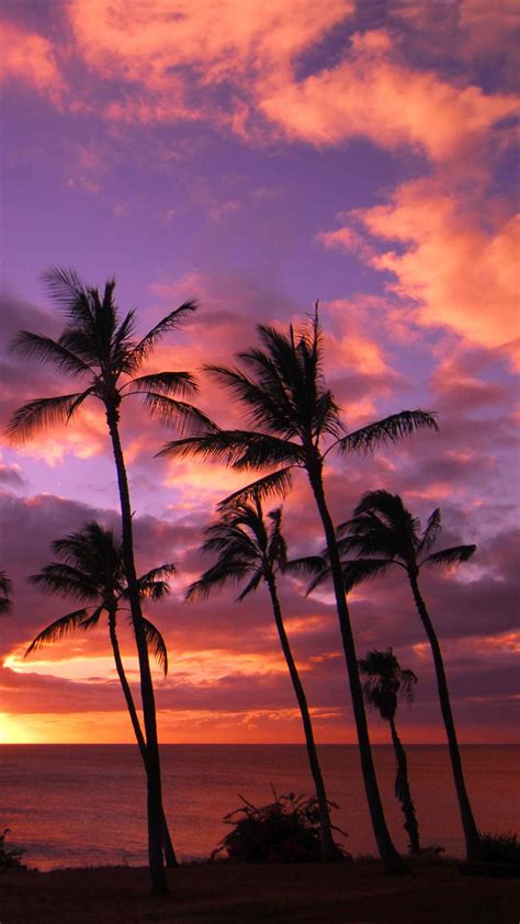 Hawaii Iphone Wallpapers Top Free Hawaii Iphone Backgrounds