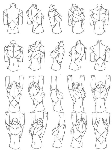 Figura De Torso De Mujer Figure Drawing Reference Drawing Reference