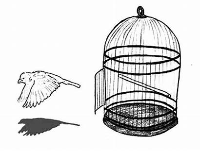 Cage Bird Coloring Escaping Pages Drawing Getcolorings