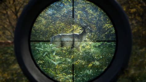 The Hunter Call Of The Wild Where To Shoot