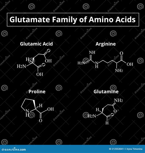 The Glutamate Family Of Amino Acids Chemical Molecular Formulas Of Amino Acids Glutamate