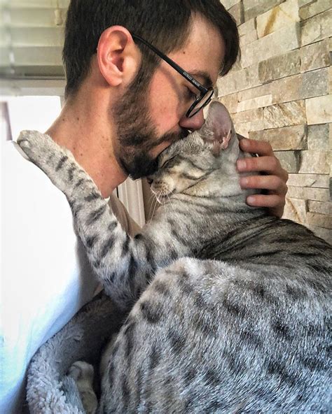 30 Adorable Pictures Of Men With Their Cats