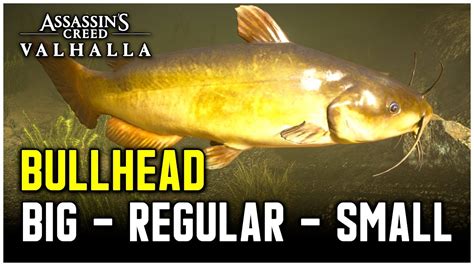 Assassin S Creed Valhalla Bullhead Fish Locations Big Regular