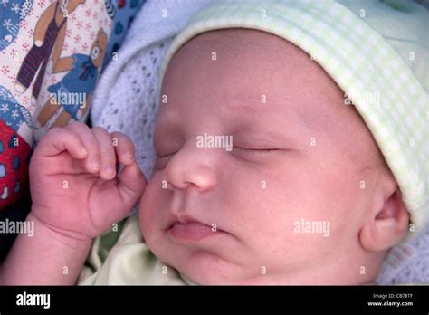 Newborn Baby Asleep Stock Photo Alamy