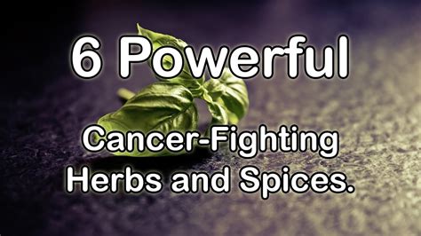 6 Powerful Cancer Fighting Herbs And Spices Youtube