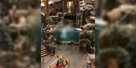 Alabama Man Arrested After Skinny Dipping In Bass Pro Shops Aquarium