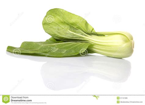 Chinese Cabbage Or Bok Choy V Stock Image Image Of White Food 51141385