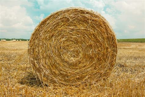 Hay Bale In The Foreground Stock Image Image Of Cereal 74830989