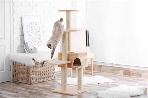 5 Easy Steps To Creating Your Own Cat Tree Cole And Marmalade