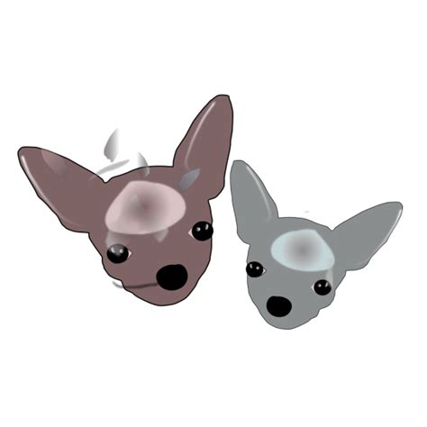Two Chihuahuas Png Svg Clip Art For Web Download Clip Art Png Icon Arts