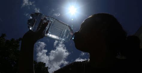 Cinco Recomendaciones Para Sobrevivir A La Temporada De Calor