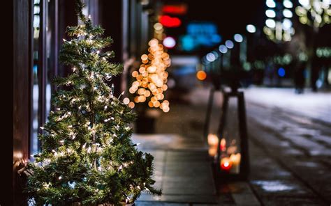 Christmas Tree Garland Lights City Street Night Winter