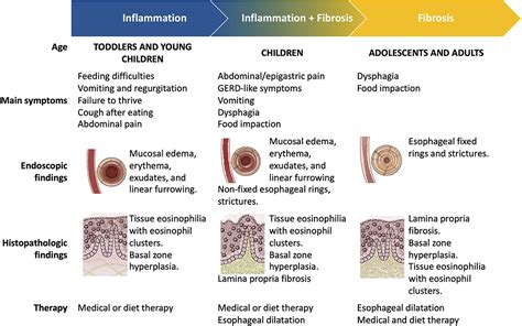 Frontiers Diet Therapy In Eosinophilic Esophagitis Focus On A