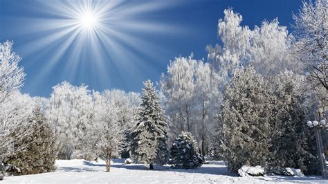 Sunny Winter Wallpapers Wallpaper Cave