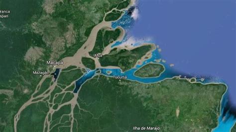 Coral Reef Discovered At The Mouth Of The Amazon River
