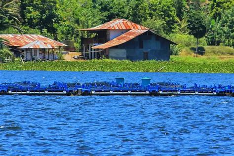 Rekomendasi Wisata Danau Di Manado Temukan Keindahan Alam Hingga