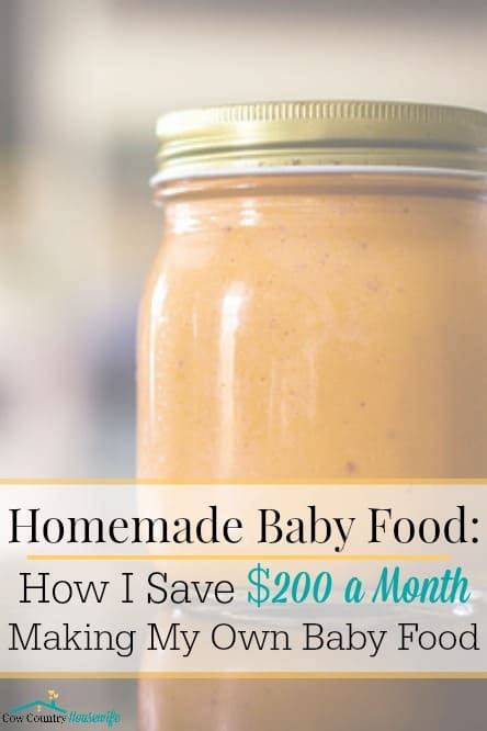 Homemade Baby Food How I Save 200 A Month Making My Own Baby Food