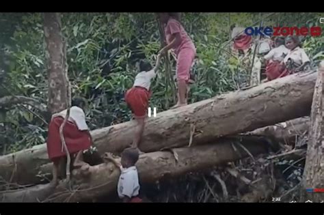 Miris Puluhan Siswa Sd Di Sikka Ntt Ke Sekolah Harus Lewati Hutan Dan Sungai Sejauh 3 Km