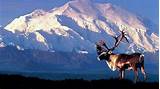 National Park Alaska Images
