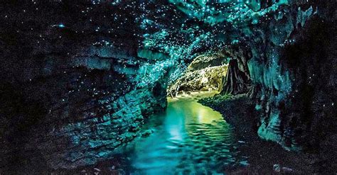 Inside Waitomo Caves New Zealand Glowworm Caves
