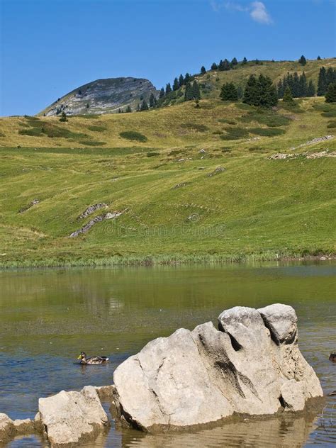 Big Stone In The Lake Stock Photo Image Of Mountains 11890468