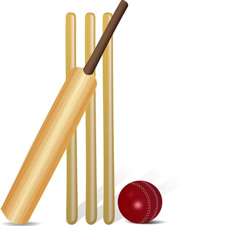 Plus De 30 Illustrations Gratuites De Cricket Et De Criquet Pixabay