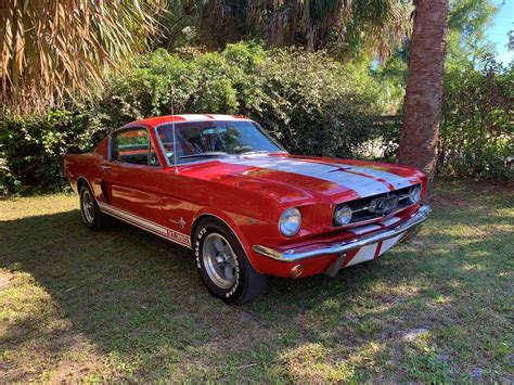 1965 Mustang Gt350 Coupe