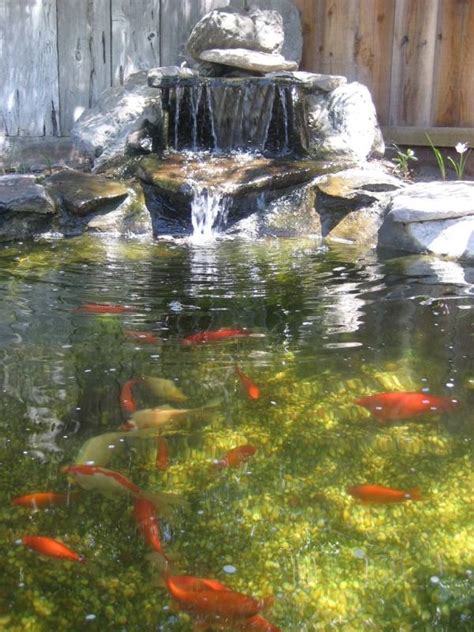 Building a fish pond for your own backyard. Making Koi Pond - useful information for water Landscaping ...