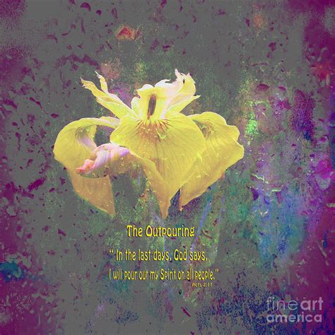 Spring Fever With Scripture Photograph By Beverly Guilliams Fine Art