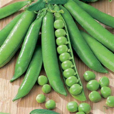 Essential tips for growing sweetly scented sweet peas. Top Quality Peas Seeds Give Superb Yields & They're Easy ...