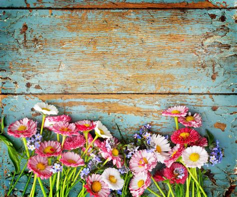 Rustic Flowers Wallpapers Top Free Rustic Flowers Backgrounds