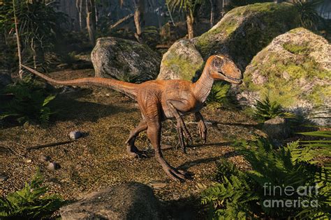 Agilisaurus Dinosaur Photograph By Roger Harris Science Photo Library Pixels