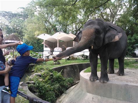 Konuklara, konaklamaları süresince restoran olanağı sunulmaktadır. CutiOrangMalaysia: Zoo Negara, Kuala Lumpur